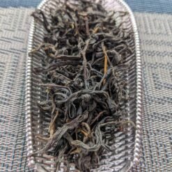 yingde yinghong no.9 authentic old tree black tea
